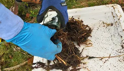 Monitoreo de Suelos, Sedimentos y Lodos