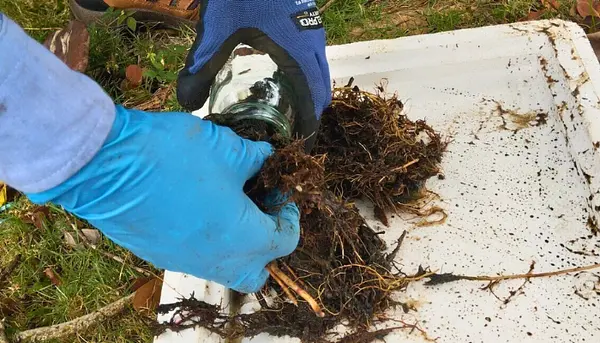 Monitoreo de Suelos, Sedimentos y Lodos